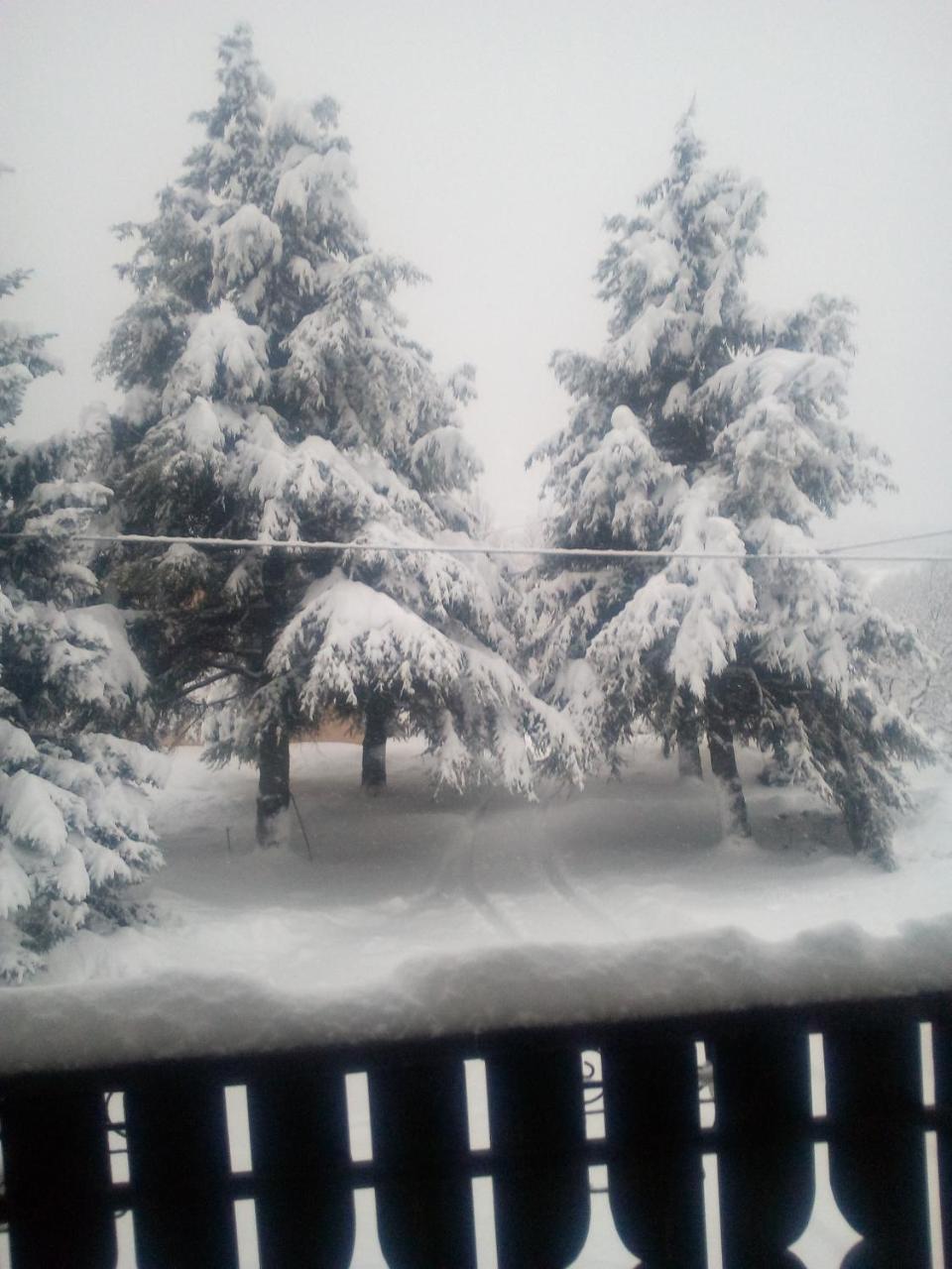 Les Noyers